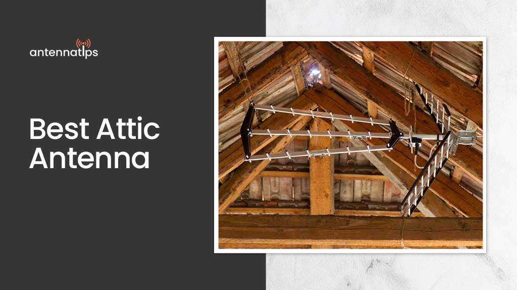 Best Attic Antenna